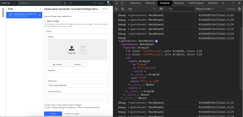 Screenshot of custom input component in use.