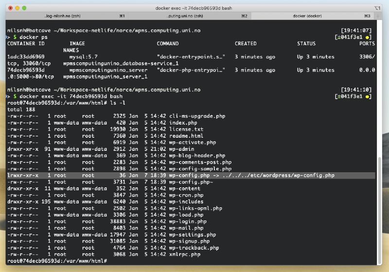 Terminal window showing the Docker server environment.