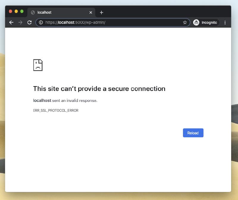 Browser error showing something is wrong with SSL.