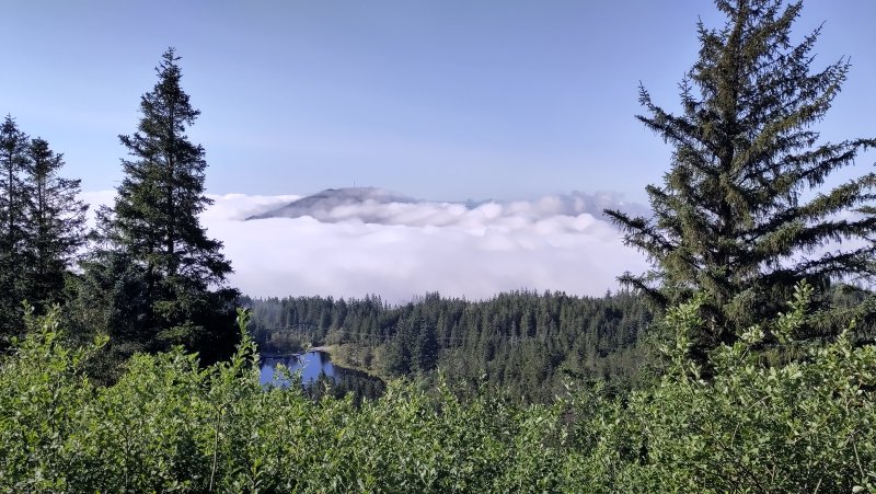 nature, overlooking a small pond with a cloudy mountain in the distance