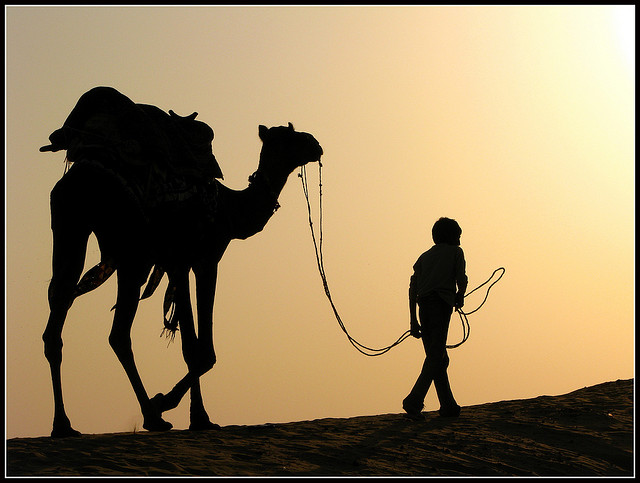 walking-in-the-desert A traveler with his camel walking in the desert.
